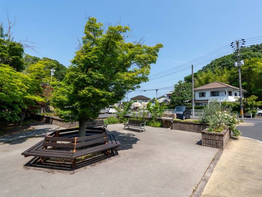 のびやかな中庭