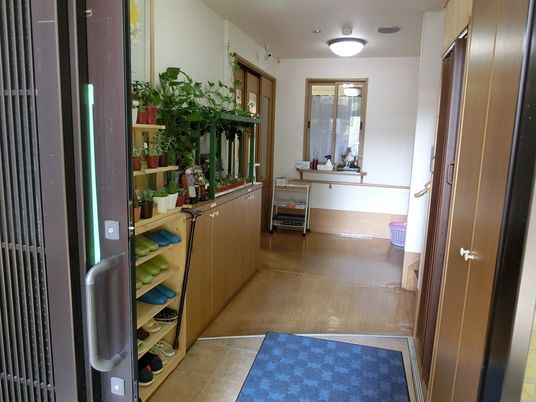 温もりのある廊下と植物