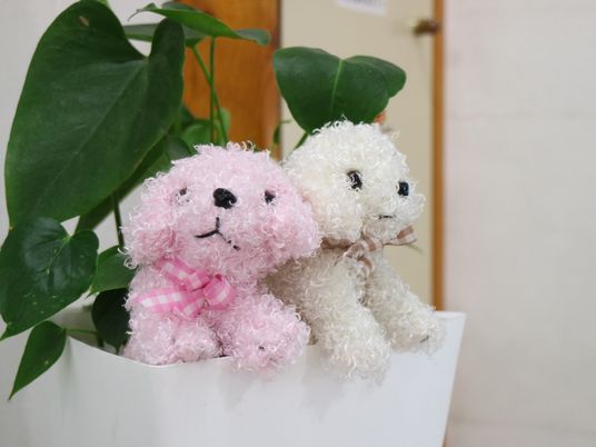 ぬいぐるみと観葉植物