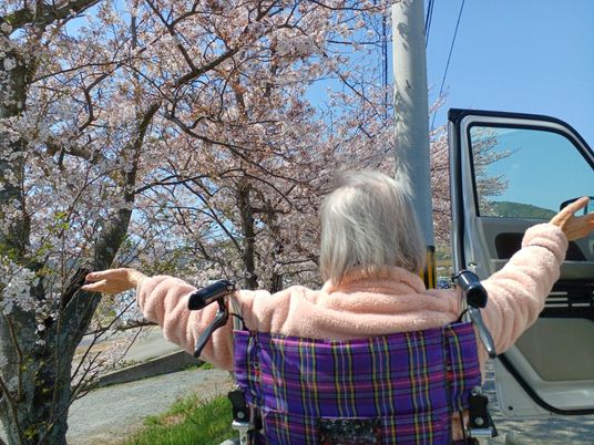 桜の下でくつろぐ利用者の後ろ姿