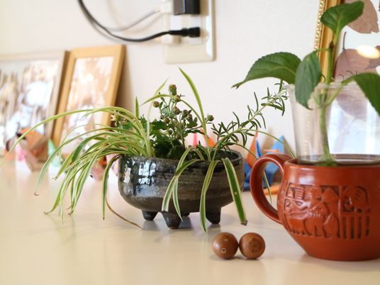 植物と飾りのある棚
