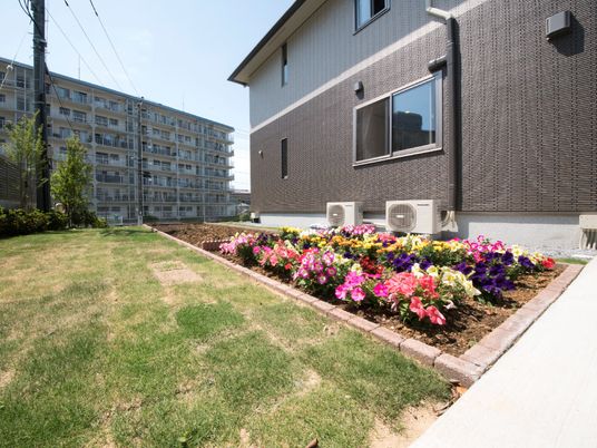 彩り豊かな花壇と建物