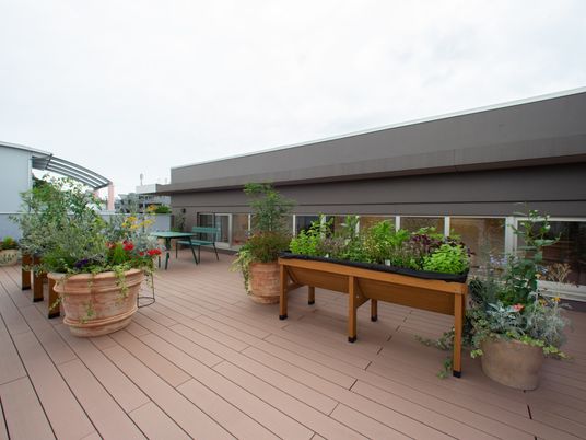 彩り豊かな屋上庭園