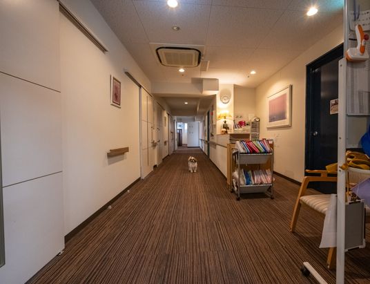 廊下の穏やかな一コマ