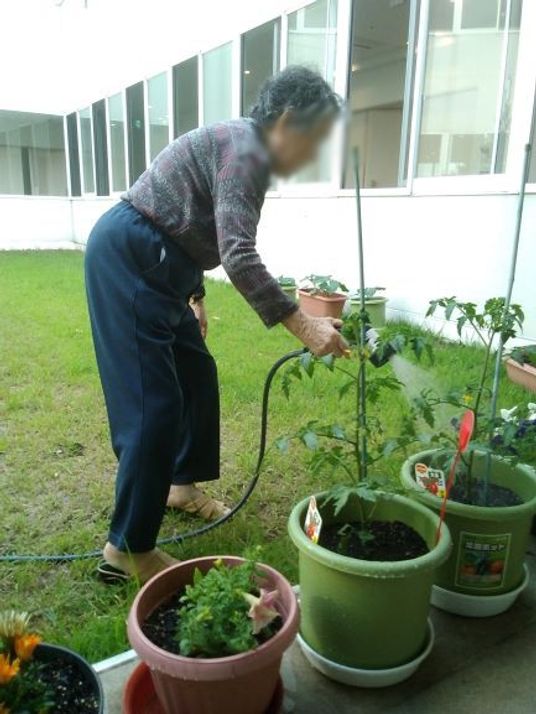 植物を育てる場所  
