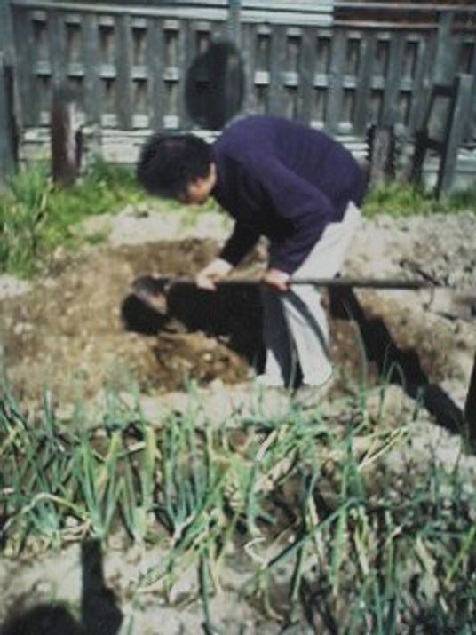 庭で作業する人々