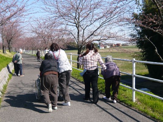 散歩する人々と桜並木