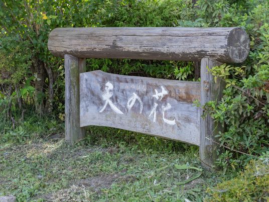 木製の温かみある看板