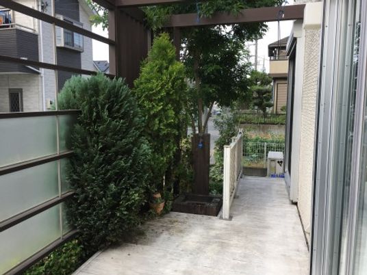 緑豊かな庭の通路