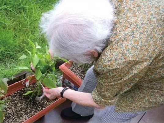 植物の手入れをする人