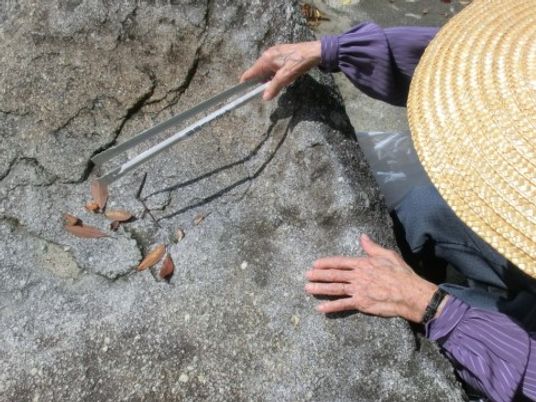 手と道具の植栽活動
