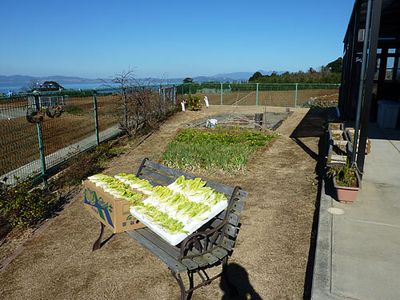 庭での農作業風景