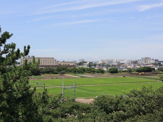 緑豊かな景色と建物