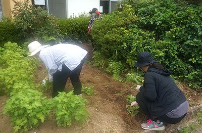 庭作業をする人々