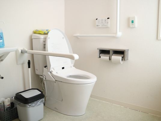 清潔なトイレの様子