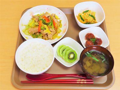 栄養満点の彩り豊かな食事