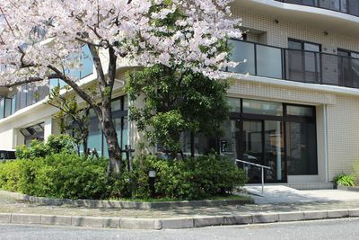 桜の咲く建物の外観