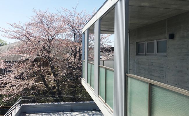 桜が見えるバルコニー