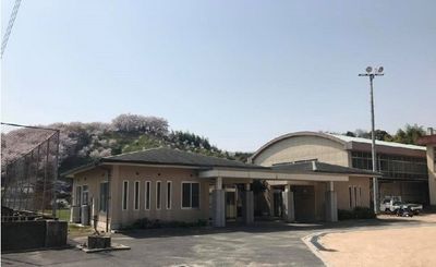 桜並木の屋外