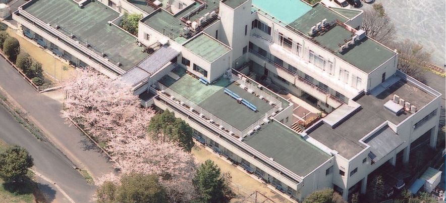 桜が咲く外観