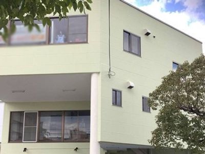 緑の壁の建物外観