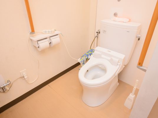 手すり付き清潔なトイレ