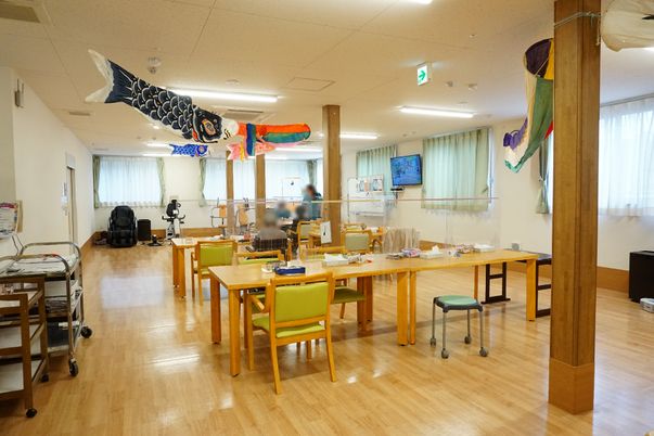 カープストリーマーのある居室