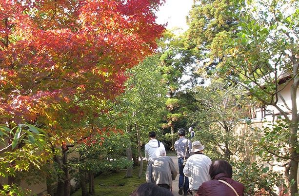 癒やしの庭歩みスタッフ