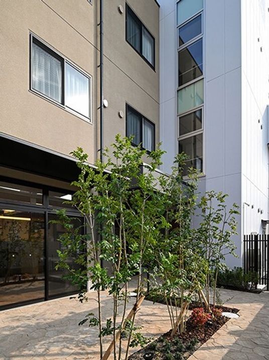 新緑の中庭光景