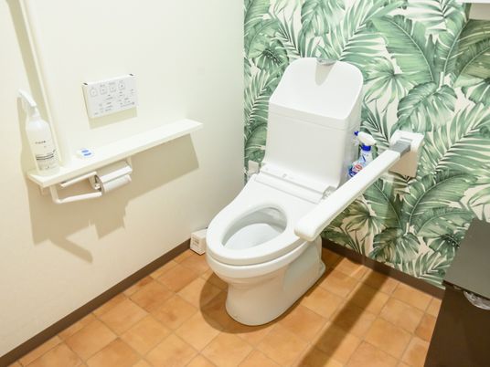 ゆとりのトイレ空間