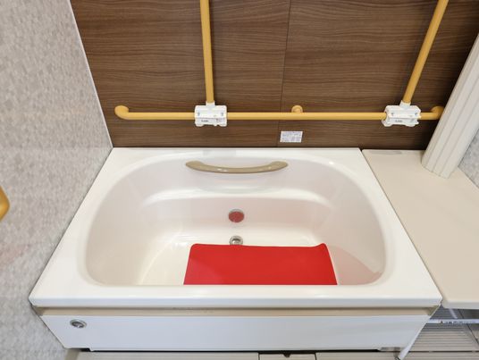 清潔な浴室の一角