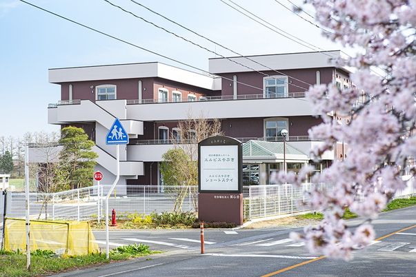 桜が咲く介護施設前の道路