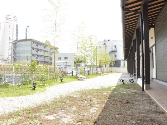 中庭の木々と通路