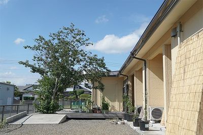 木がある建物の外観