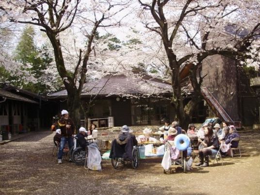 桜下での憩いの時間