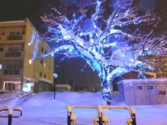 雪景色のイルミネーショントリー