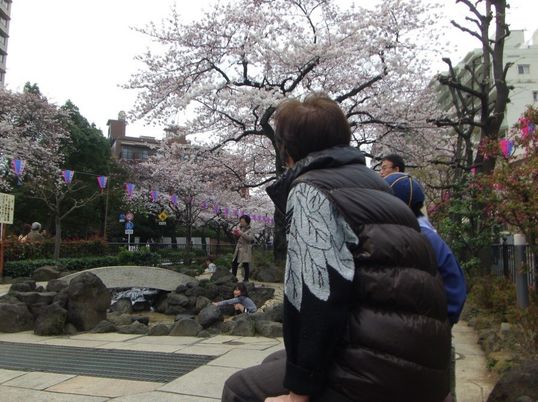 桜と休憩する人々