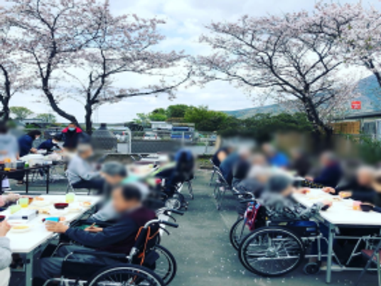 屋外の桜の下の集まり
