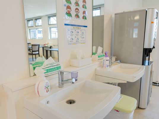 清潔な洗面台と冷蔵庫
