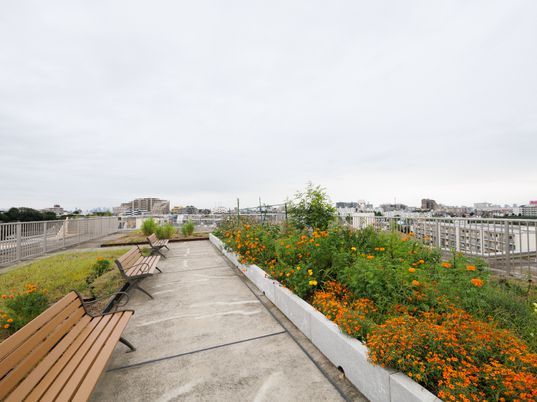 開放的な屋上庭園