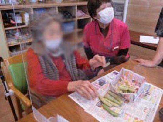 活動する様子