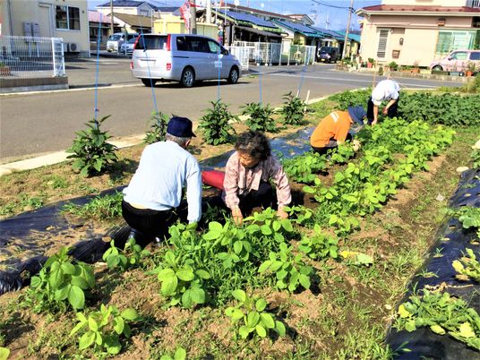 畑で作業する人々