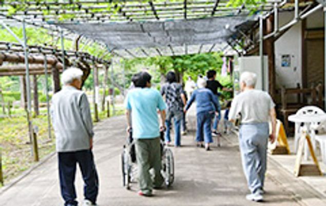 緑陰の歩道
