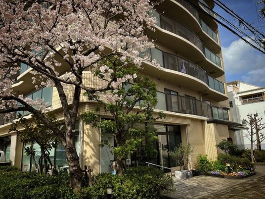 桜咲く建物外観