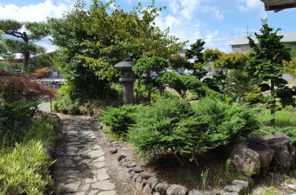 緑豊かで静かな庭