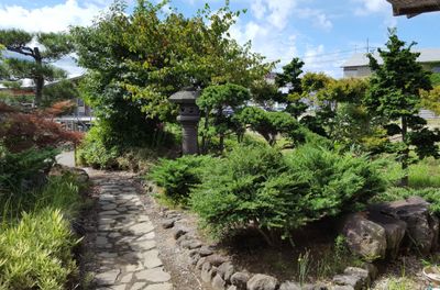 緑豊かで静かな庭