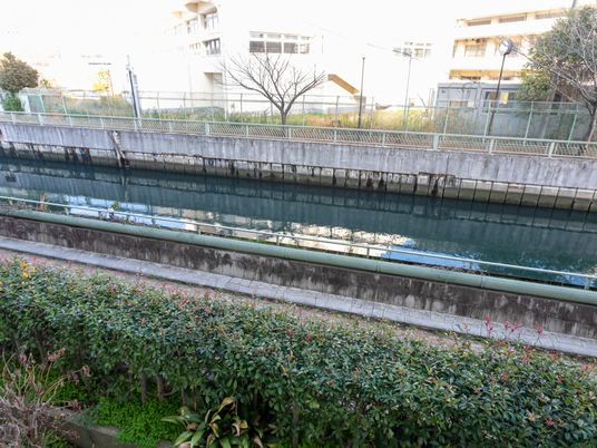 緑あふれる外観