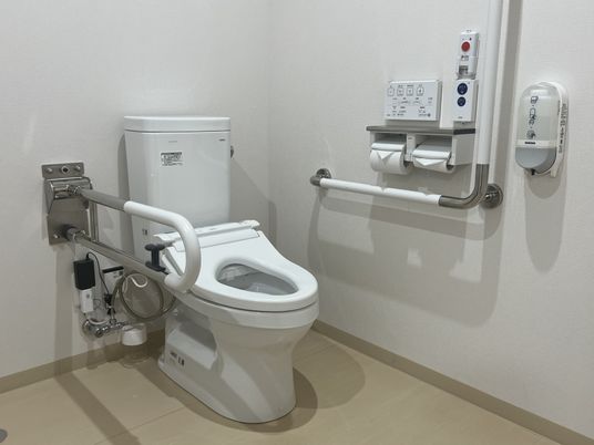 バリアフリー設計のトイレ