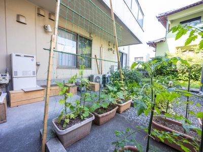 手入れされた中庭