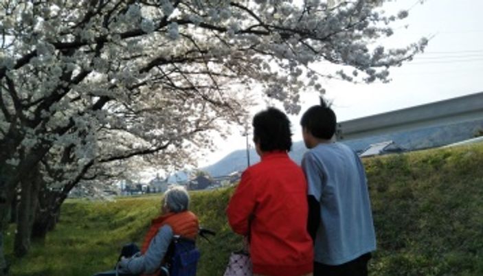 桜を眺める人々の庭